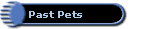 Past Pets